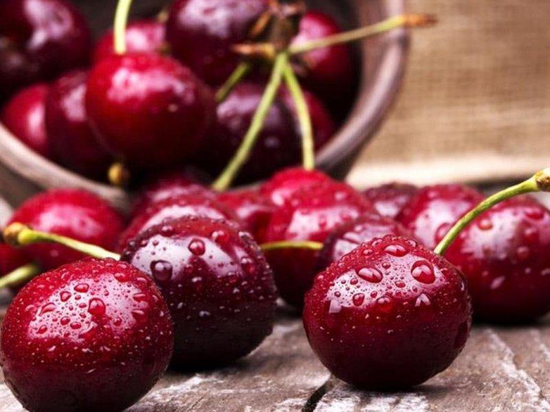 Вишня купить саженцы из питомника в Саяногорске